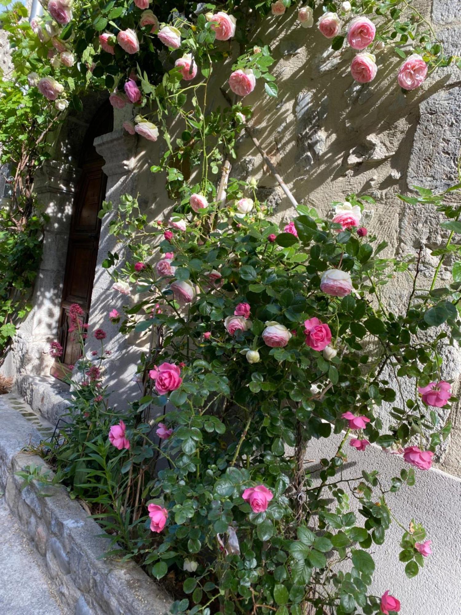 Les Mirabelles Chambres D'Hotes Sisteron Exterior photo